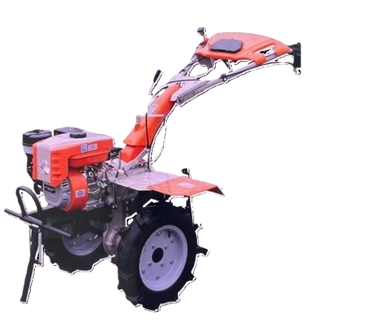 bul removebg preview